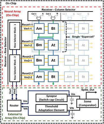 Large-Scale Neuromorphic Spiking Array Processors: A Quest to Mimic the Brain